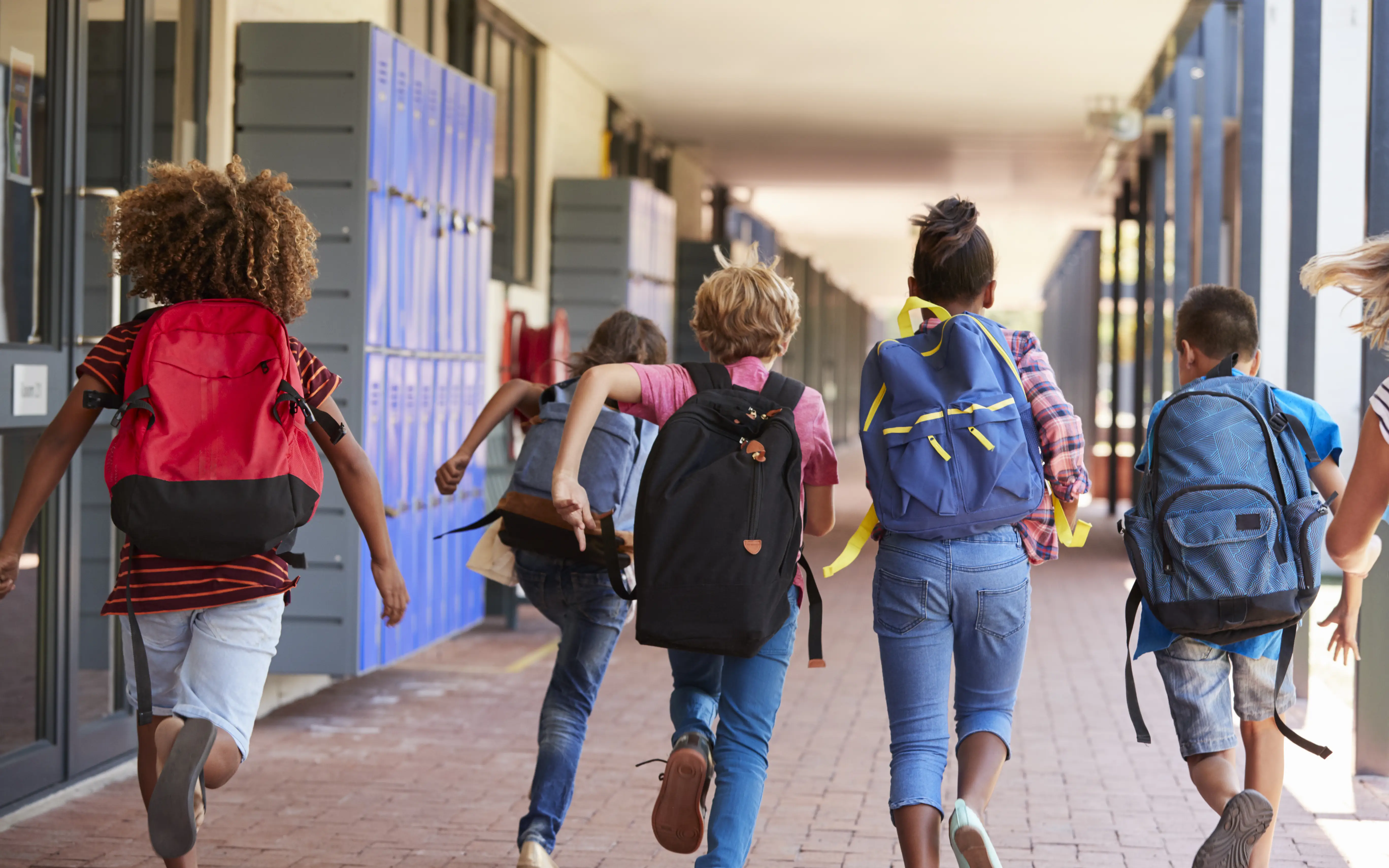 Schools security - Bolo Stick